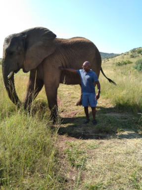 Me with the elephant again at a game farm in the North West